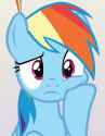 dashie concern3