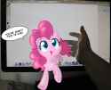 this will be ponk in 2014