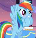 dashie excite