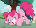 ponk_sniff