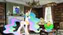 A Day of Princess Celestia