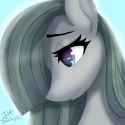 2656770__safe_artist-colon-dashy21art_derpibooru+import_marble+pie_earth+pony_pony_bust_eyebrows_eyelashes_female_hair+over+one+eye_high+res_image_jpeg