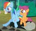 dashie and scoots