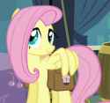 110895__safe_screencap_fluttershy_pegasus_pony_g4_my+little+pony-colon-+friendship+is+magic_putting+your+hoof+down_season+2_animated_cropped_female_saddle+bag_