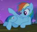 dashie enchants me