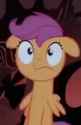 175349__safe_screencap_scootaloo_pegasus_pony_g4_my+little+pony-colon-+friendship+is+magic_season+3_sleepless+in+ponyville_animated_bipedal_cropped_female_gif_