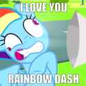 i love you rainbow dash