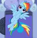 dashie bed seductive