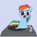 10932__safe_artist-colon-tomdantherock_rainbow+dash_pegasus_pony_g4_animated_cute_daaaaaaaaaaaw_dashabetes_female_filly_gif_gif+for+breezies_loop_open+mouth_p