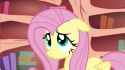 flutterface-(n1292553818758)-(n1298718298127)