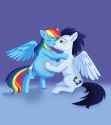 2574909__safe_artist-colon-parturient_rainbow+dash_soarin27_pegasus_pony_g4_belly_belly+button_big+belly_blushing_duo_duo+male+and+female_eyes+closed_female_hig