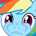 Pony, Feral, Solo, Rainbow Dash, shocked, close up, confused s-1301311125