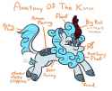 2555946__safe_artist-colon-jargon+scott_color+edit_edit_oc_oc+only_oc-colon-frost+flare_kirin_anatomy_anatomy+guide_chest+fluff_cloven+hooves_colored_cute_diagr