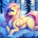 flutters6sit