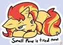 small pone is tired