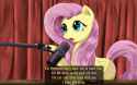 The Fluttershy experience