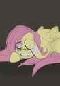 2426056__semi-dash-grimdark_artist-colon-ihatefluttershy_fluttershy_g4_abuse_beat_blood_bully_bullying_crying_flutterbuse_go+to+sleep+gladmane_scared