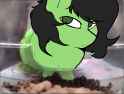 3522674__safe_artist-colon-itskaarts_artist-colon-pukifurs_edit_oc_oc+only_oc-colon-filly+anon_earth+pony_pony_g4_cute_female_filly_foal_meme_ponified+animal+ph