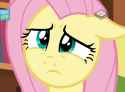 Yo b that shit makes fluttershy hella sad