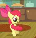 apple bloom spin