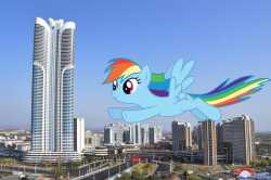 2695114__safe_artist-colon-starryshineviolet_derpibooru+import_edit_rainbow+dash_pony_female_giantess_image_irl_jpeg_macro_north+korea_photo_ponies+in+