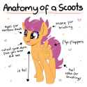 2250245__safe_artist-colon-partylikeanartist_scootaloo_pegasus_pony_anatomy_anatomy+guide_cute_cutealoo_eye+clipping+through+hair_female_filly_heart_high+res_op