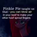 pinkie pie taught us