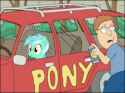 pony