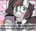 3245636__source+needed_safe_artist-colon-alexsc112_derpibooru+import_oc_oc-colon-news+flash_bat+pony_pony_animated_dialogue_female_gif_image_mare_text