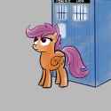 scootawho