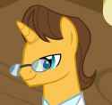 doctor horse smug