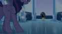 342500__safe_screencap_character-colon-sunset+shimmer_character-colon-twilight+sparkle_character-colon-twilight+sparkle+(alicorn)_species-colon-alicorn_species.gif