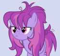 cute, grumpy hair mare