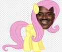 png-clipart-shaquille-o-neal-horse-cartoon-mammal-horse