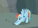 32333__safe_screencap_rainbow+dash_pegasus_pony_g4_may+the+best+pet+win_season+2_animated_brony+history_female_gif_it+begins_iwtcird_mare_meme+origin_scrunchy