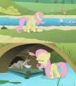 griffon_the_brushoff dragonshy fluttershy fish ferrets circle_of_life