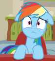 a very worried Dash