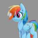 dashie