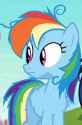 Confused Dash