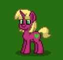 PonyTown test