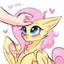 fluttershy hehe pets