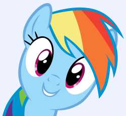 dashie