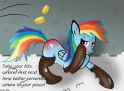 unf dashie