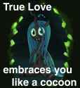 true love is like a cocoon