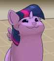 2512640__safe_artist-colon-rainihorn_twilight+sparkle_alicorn_cat_cat+pony_original+species_pony_-colon-3_-colon-o_animated_cheek+fluff_cute_female_gif_mare_mem