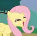 Fluttershy scream