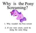 Pony Screaming