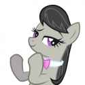 62920__safe_artist-colon-mihaaaa_octavia+melody_earth+pony_pony_g4_animated_clapping_clapping+ponies_female_reaction+image_smug_solo