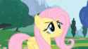 fluttershy-yay