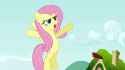 New_Fluttershy_1_S2E19[1]